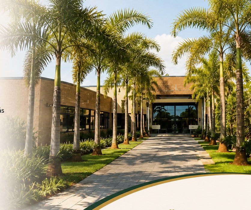 Alameda de palmeiras na entrada do Residencial Colibri