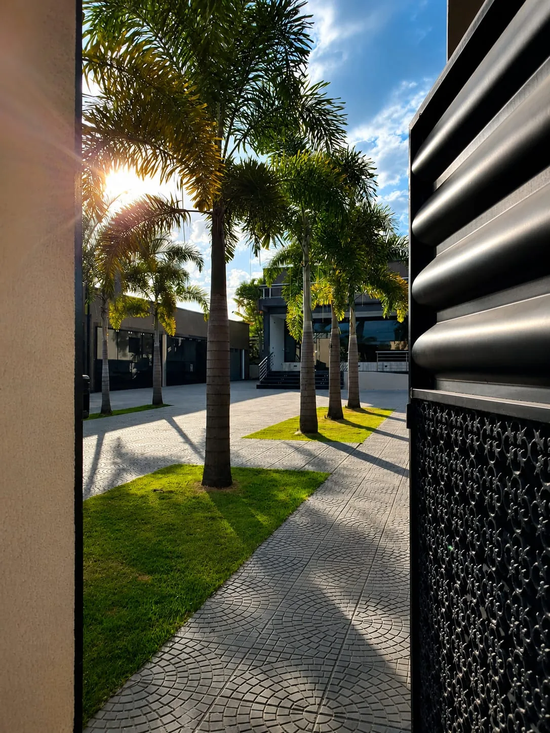 Alameda de palmeiras na entrada do Residencial Colibri